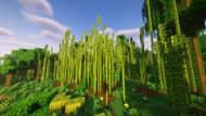 Bamboo can be farmed and used as fuel (Image via Sportskeeda Gaming || Mojang Studios)